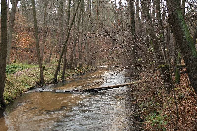 Rostoczek 11.2008 163